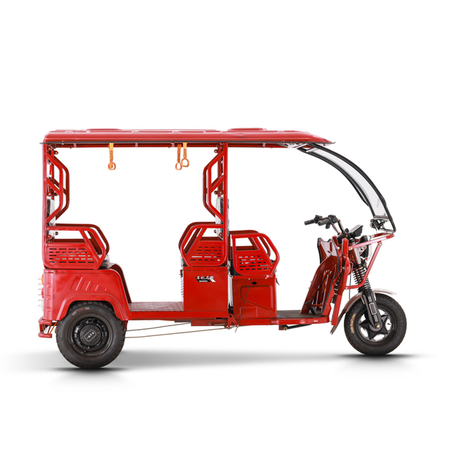 adultus tricycle