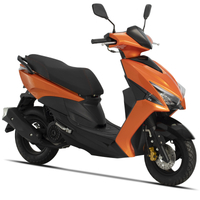 Skate-Scooter f&uuml;r Erwachsene