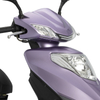 trottinette professionnelle