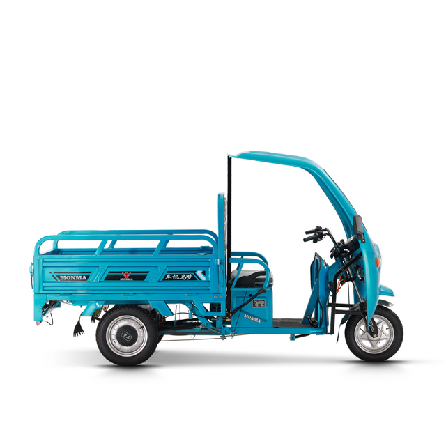 tricycle pro adulta