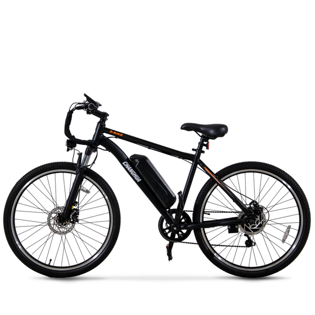 electric bike